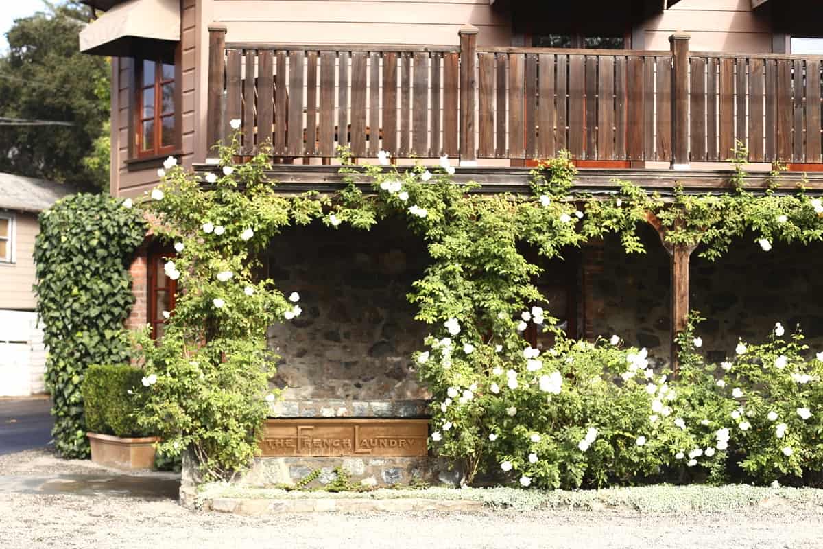 San Francisco and Napa Travel Ideas - @mystylevita 