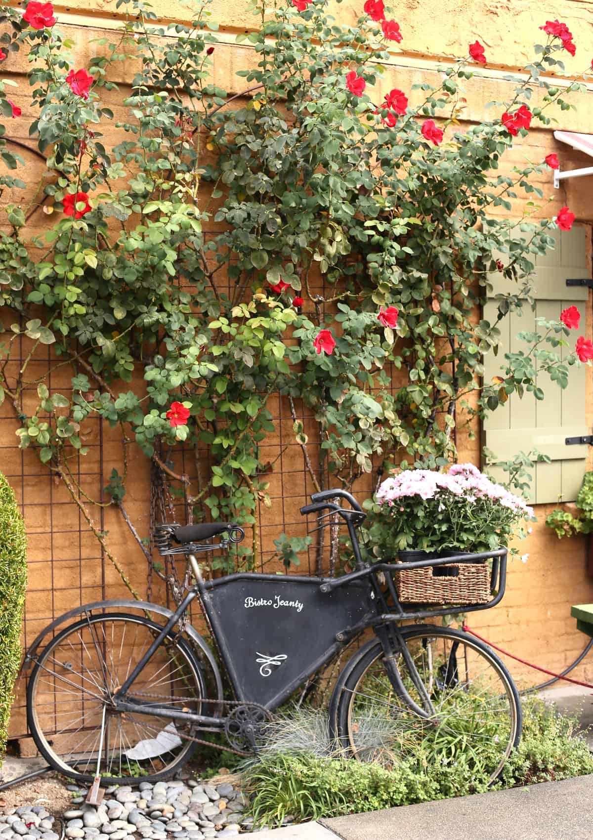 San Francisco and Napa Travel Ideas - @mystylevita 